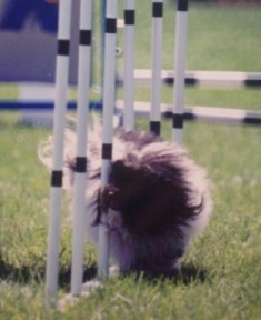 Mitzi-weave