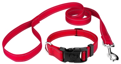 collar and leash
