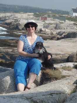 Havanese at the beach