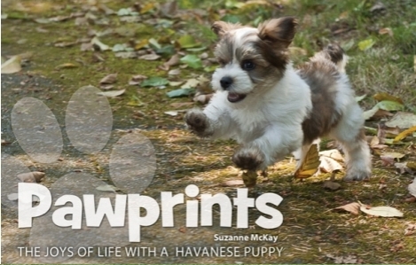 Pawprints Book